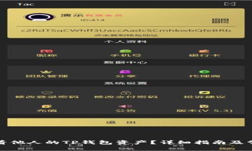 如何查看他人的TP钱包资产？详细指南及常见问题