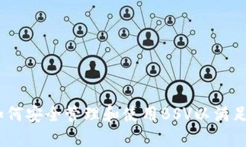 TP钱包：如何安全管理和使用BSV以满足大众需求