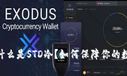  全面解析：什么是STD冷？如何保障你的数字资产安全
